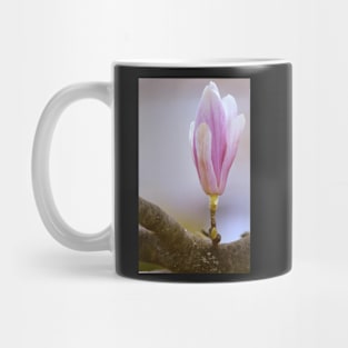 Magnolia #3 Mug